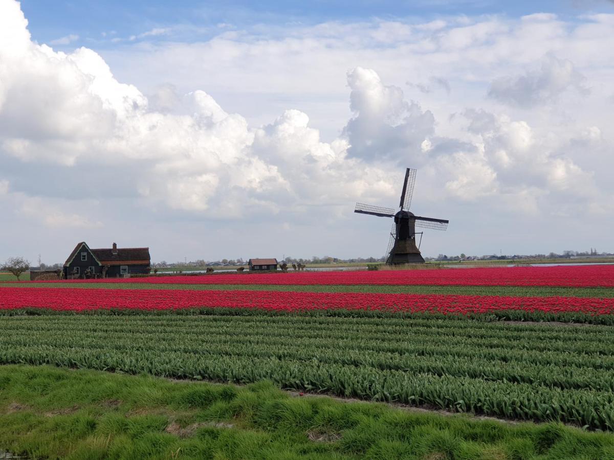 De Heerlijkheid Hensbroek Villa Kültér fotó