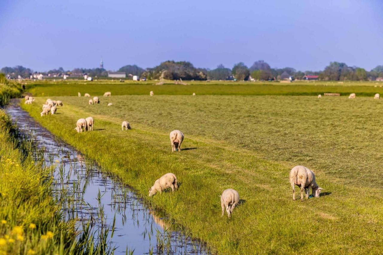 De Heerlijkheid Hensbroek Villa Kültér fotó